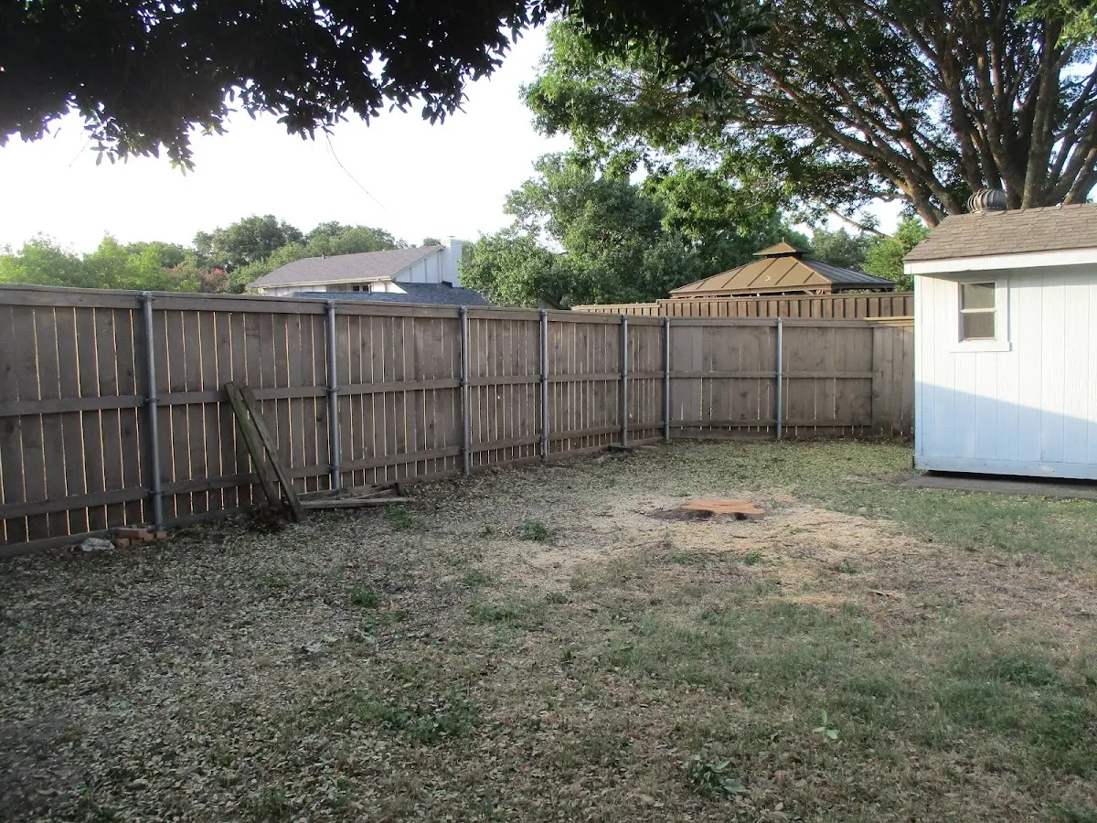 Cleared yard after professional tree removal in Chase City